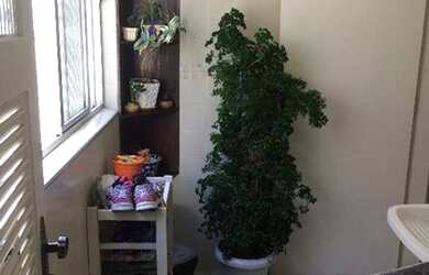 Imagem 13: Apartamento residencial à venda, Encruzilhada, Santos