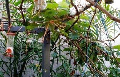 Imagem 12: Casa à venda, 113 m² por R$ 649.000,00 - Jardim Jaraguá - Atibaia/SP