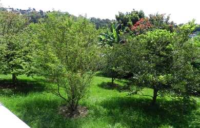 Imagem 4: Casa para venda em condomínio Arujazinho 123 Arujá