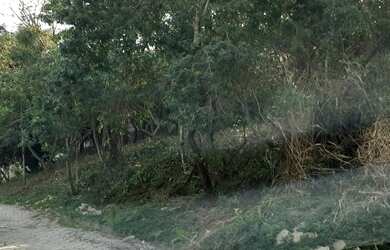 Imagem 10: Terreno na Siriúba com 1.200m² em Ilhabela