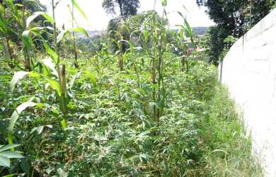 Imagem 1: Terreno à venda 1000M², LOTEAMENTO SANTA ROSA, JUNDIAÍ - SP