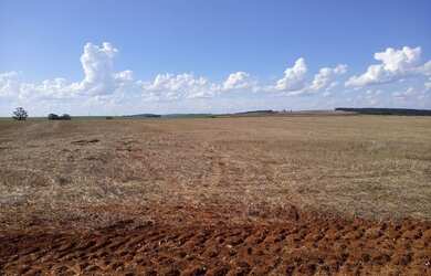 Imagem 15: Linda fazenda na agricultura em Taquarituba - SP
