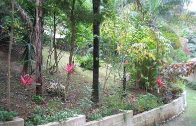 Imagem 2: Chácara à venda, 4000 m² por R$ 580.000,00 - Eldorado - Itu/SP