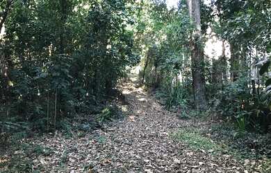 Imagem 7: Terreno vista mar - Veloso -Ilhabela