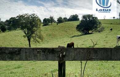 Imagem: O terreno possui 96.000m² de Área e está localizado em Monte