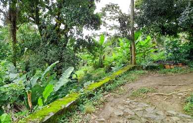 Imagem 7: Terreno a 60 Passos da Areia da Praia Grande em Ilhabela