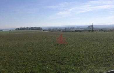 Imagem 4: Fazenda à venda, 1597200 m² por R$ 14.000.000,00 - Paranapanema - Paranapanema/SP