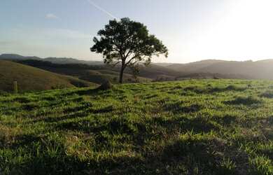 Imagem 1: LINDO LOTE COM VISTA DE 360º