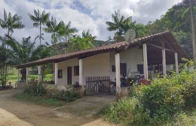 Imagem: Sítio pronto para engorda de peixes e com produção de Palmitos