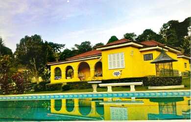 Imagem: A chácara possui 7.000m² de Área e está localizado em Miguel