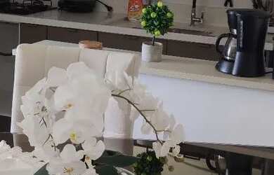 Imagem 2: Alugo Apartamento Mobiliado Recreio