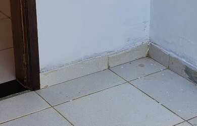 Imagem 11: Alugo Apartamento