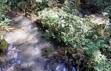 Imagem 6: Área de terra bairro Linha Olinda, Nova Petropólis.RS REF 246