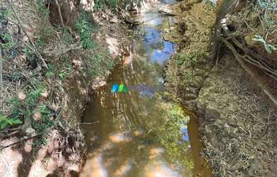 Imagem 12: FAZENDA À VENDA - 100 HECTARES - MORRO DA GARÇA MG