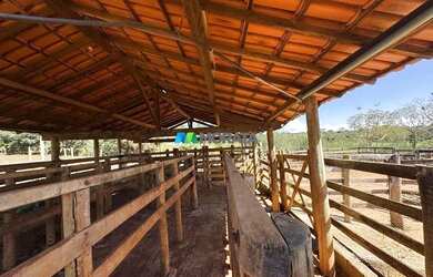 Imagem 5: FAZENDA À VENDA - 100 HECTARES - MORRO DA GARÇA MG