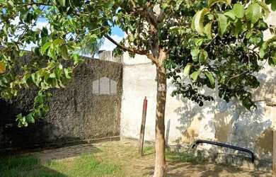 Imagem 16: Casa com três quartos na rua Artur Neiva - jardim Sulacap