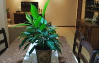 Imagem 8: Amplo apartamento com 100 m² no Bairro Bela Vista, Jundiaí, SP