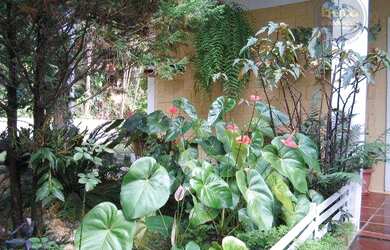 Imagem 7: Chácara à venda, 4000 m² por R$ 580.000,00 - Eldorado - Itu/SP