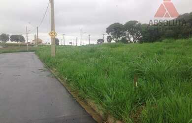 Imagem 3: Terreno residencial à venda, Jardim Pau Brasil, Americana
