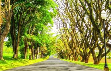 Imagem 6: Lote próximo a quadra poliesportiva à venda na Fazenda Serrazul I