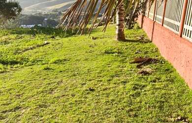 Imagem 10: Lote/Terreno para aluguel e venda tem 537 metros quadrados