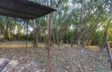 Imagem: O terreno possui 26.400m² de Área e está localizado em Dois