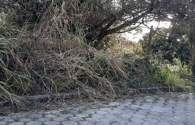 Imagem 4: Terreno na Siriúba com 1.200m² em Ilhabela