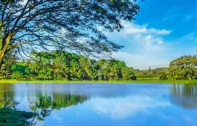 Imagem 14: Lote próximo a quadra poliesportiva à venda na Fazenda Serrazul I