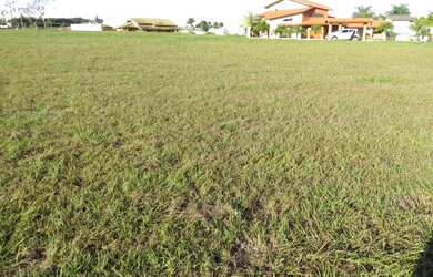 Imagem 7: Tereno 300 m², local alto, linda vista panorâmica, topografia plana