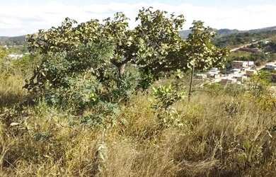 Imagem: Lote à venda, 360m² no bairro Vianinha, Esmeraldas próximo