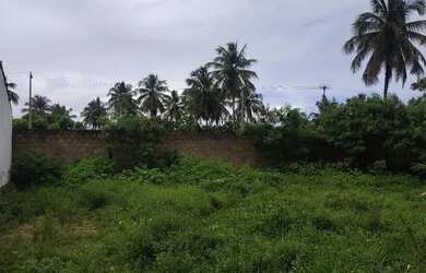 Imagem: O terreno possui 100m² de Área e está localizado em São