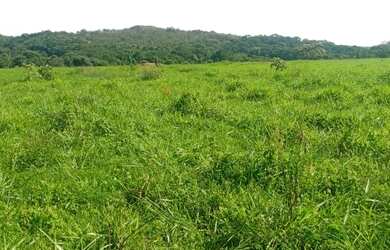 Imagem: A fazenda possui 1.333.000m² de Área e está localizado em