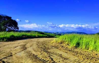Imagem: O terreno possui 500m² de Área e está localizado em Jardim