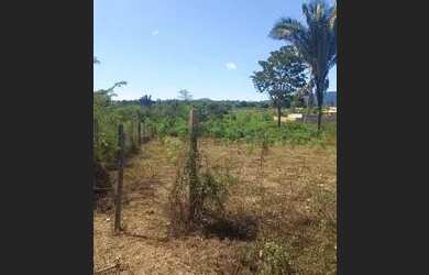 Imagem 3: Lote palmares 2. 40m² de Área