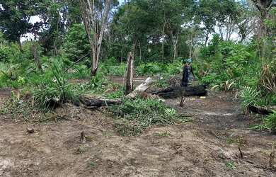 Imagem 5: Terreno no pajuçara. 
