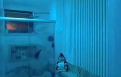 Imagem 9: Reserva Santa Lúcia 62807 -