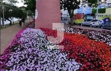 Imagem 13: Casa à venda por 220.000,00 no bairro Jardim São Miguel, em Bragança...