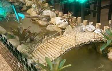 Imagem 11: Vendo ou arrendo restaurante japonês