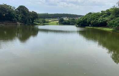 Imagem: O terreno possui 5.000m² de Área e está localizado em Porto