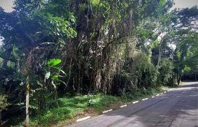 Imagem 3: Lote em condomínio em Rua Jambo - Algarve - Cotia/SP