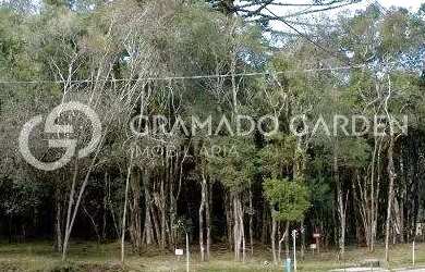 Imagem 4: TERRENO EM CONDOMINIO FECHADO EM CANELA