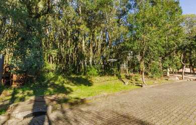 Imagem 2: PINHEIRO GROSSO. 958m² de Área