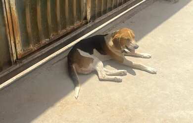 Imagem 5: Vendo ou troco casa na 13 do Parkway. Em fase de acabamento