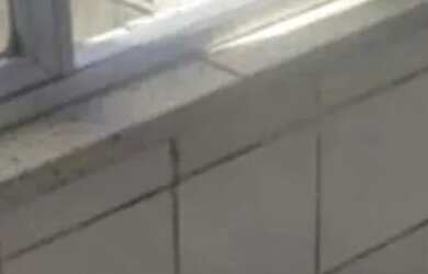 Imagem 6: Apartamento-02-Dormitorios-Menino Deus