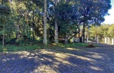 Imagem 3: Terreno à Venda em Canela