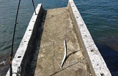 Imagem 1: TEMPORADA CASA GRANDE NA COSTEIRA COM BELA VISTA E PIER