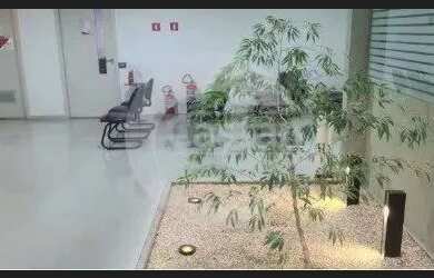 Imagem 3: prédio comercial - bras- 6500m²- reformado