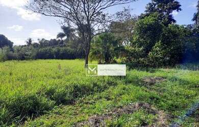 Imagem 10: Terreno à venda, 2646 m² por R$ 670.000,00 - Nova Veneza - Paulínia/SP