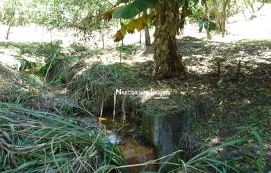 Imagem 6: Terreno de condomínio à venda, 4037 m² por R$ 1.450.000 - Parque Jatibaia...