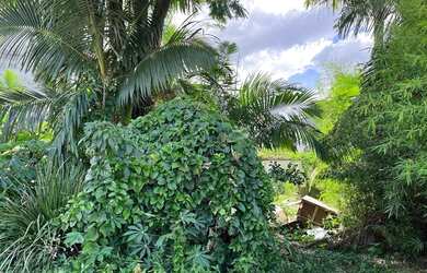 Imagem 3: Terreno à venda, 360 m² por R$ 265.000 - Boa Vista - Blumenau/SC